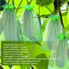 100PCS Fruit Protection Netting Bag Reusable Garden Mesh Barrier Bag