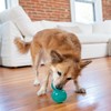 Outward Hound Double-Tuff Stuffable Dog Toy, Medium 4-Inch Green -