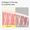 Sungboon Editor Deep Collage Anti-Wrinkle Cream in Serum 30 mL