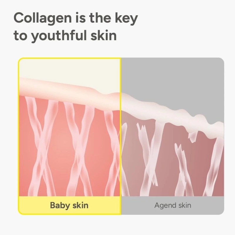 Sungboon Editor Deep Collage Anti-Wrinkle Cream in Serum 30 mL