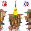 Bonka Bird Toys 3846 Duck Block Small Medium Bird Toy