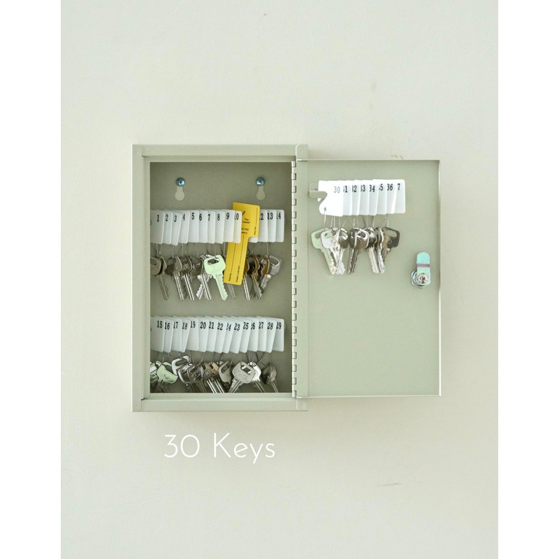 MAXXBUILD Key Storage Cabinet with Lock, 30 Keys Capacity, Wall
