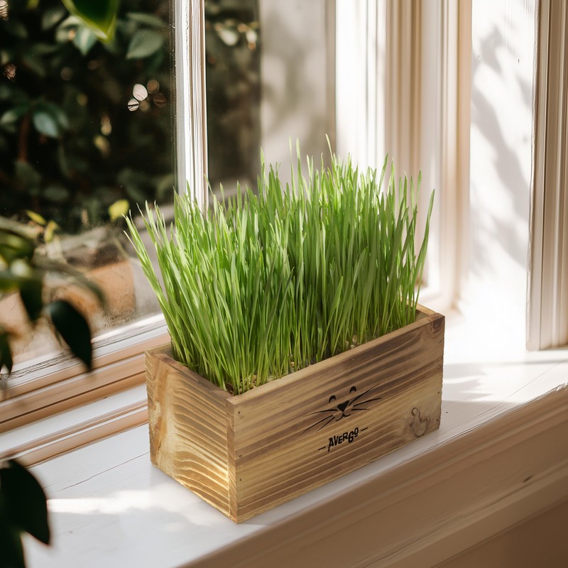 Cat Grass Kit for Indoor Cats – x4 Seed Packets