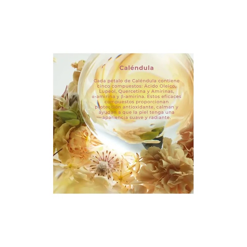 Bálsamo Labial Reparador Nutritivo Repair Lip Balm Nunun
