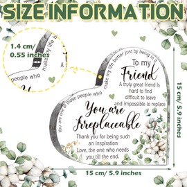 Spiareal Friends Gifts for Women Friendship Bestie Plaque Graduation Best Flower Sister Birthday Thank You Gift for Female Acrylic Friendship(Cotton Style)