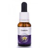 Living Essences Cowkicks 100ml