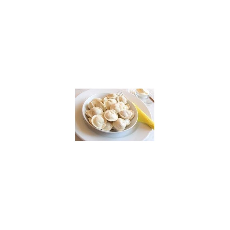 Russian Pelmeni Dumpling Machine Ravioli Plastic Mould Shape for Russian