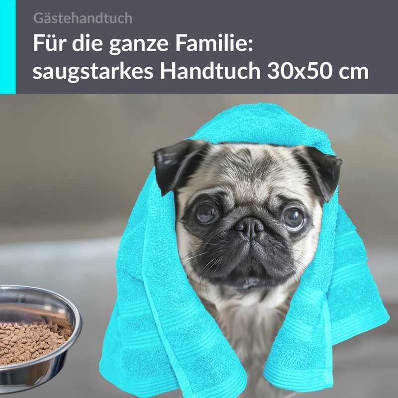Lashuma Hand Towel 30 x 50 cm London Toilet Guest