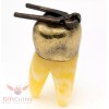 Brass Amber Tooth Shaped Figurine with pliers dentist's present IronWork