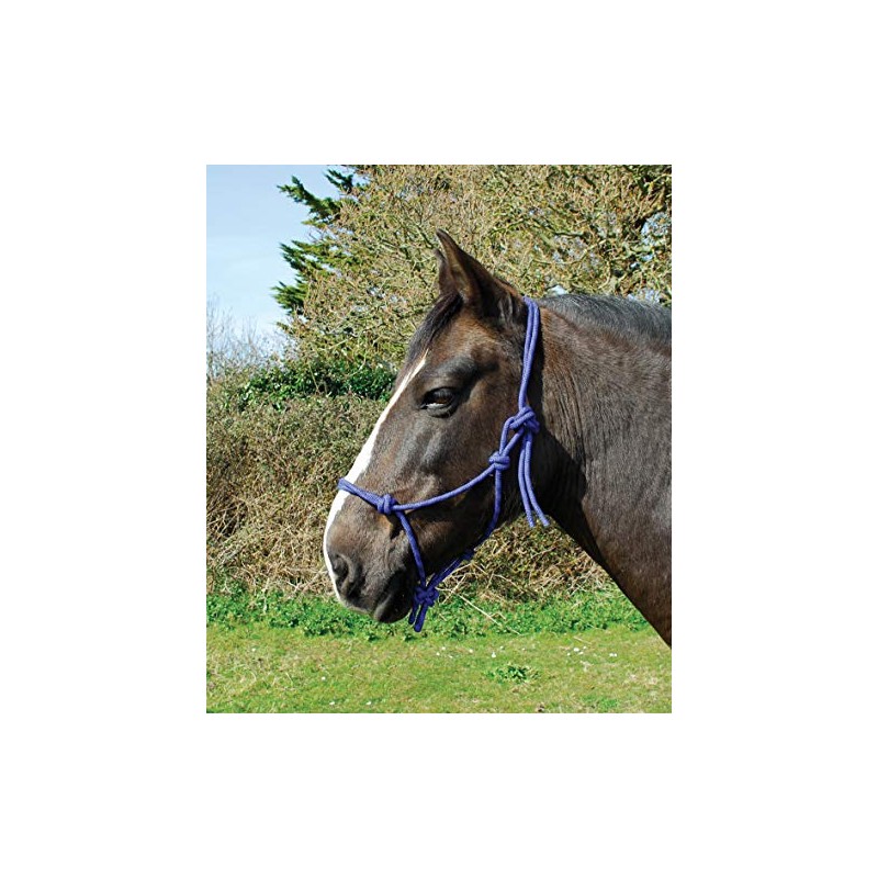 Rhinegold Rope Halter-Full-Royal