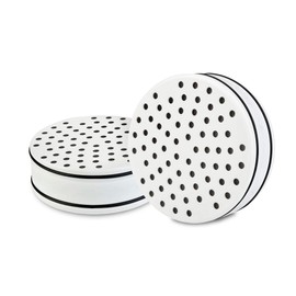 Brondell FF-15X2 Replacement Water Filter for VivaSpring Filtered Shower Head, Lasts 6 Months, 2-Pack