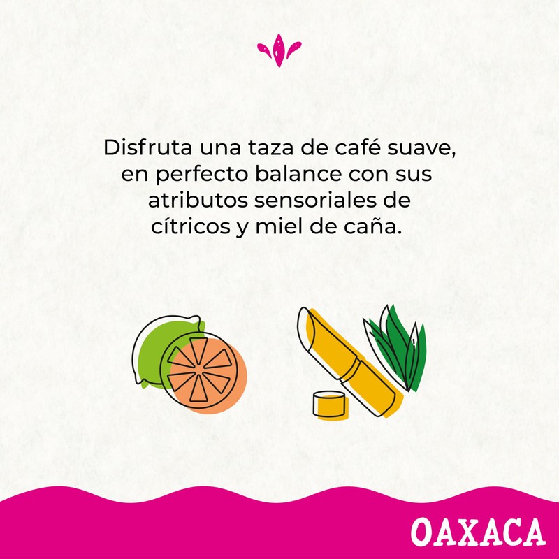 1968 - Café 1968 Oaxaca en Grano 340g | Notas