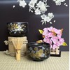Waraku Fuuka Japanese Traditional Mino Ware Handcrafted Mini Matcha Chawan