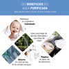 Reverse Osmosis Remineralizing Post Filter Reduces Water Acidity and Delivers