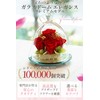 Preserved Flower IPFA Glass Dome Elegance Premium Wedding Gift Birthday