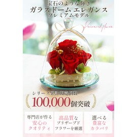 Preserved Flower IPFA Glass Dome Elegance Premium Wedding Gift Birthday Present Retirement Flower Gift Rose (Red Luxury)