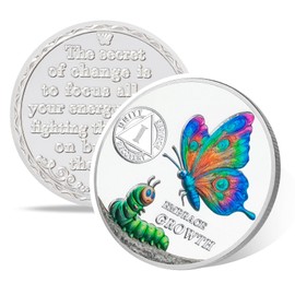Butterfly Metamorphosis 1 Year Sobriety Coin, Affirmation AA Medallion, Addiction Recovery One Year Sober Coins, Celebrating Recovery Anniversary Token, NA AA Sobriety Gifts for Men Women