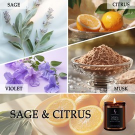Sage & Citrus Candle, Scented Candle for Home Soy Wax Candle, Aromatherapy Candle Gift for Women Men, 7oz