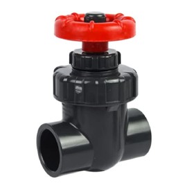 Inland Seas FijiCube 1" Slip X Slip Schedule 80 Gate Valve