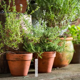 LIOOBO Capacity Rain Gauge Glass Tube: 2Pcs 5 Inch Rain Gauges, Replacement Rainfall Test Tube with Scale for Garden Yard Outdoor