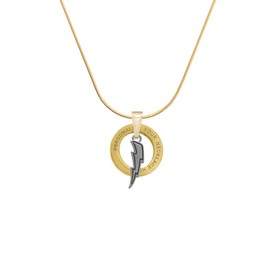 Delight Jewelry Silvertone Lightning Bolt - Custom Goldtone Message Ring Necklace, 18"