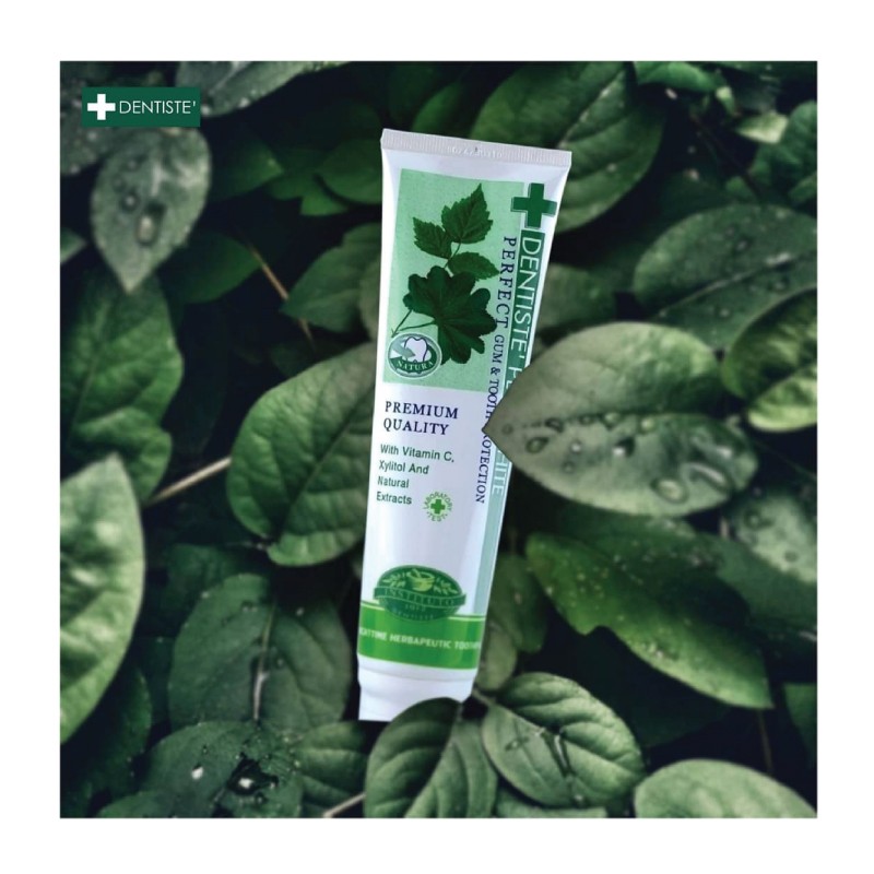 Dentiste Plus White Nighttime Toothpaste Tube 160g x 2 +