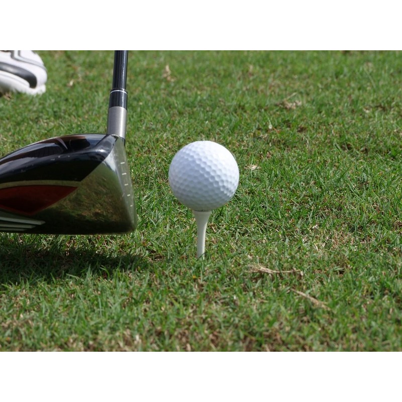 TH Golf 70mm 2 3/4" Premium White Bamboo Golf Tees