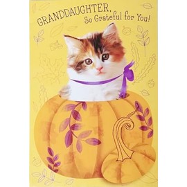 Granddaughter So Grateful For You Happy Thanksgiving Greeting Card with Cat in Pumpkin - You're Such A Blessing