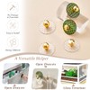 CcHhyyt 6 Pack Self-Adhesive Knobs for Cabinets Acrylic Diamond Shaped