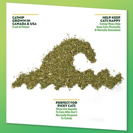 KITTY KA-ZOOM Silverine Surge - Catnip & Silvervine Mix | Hand Harvested Fresh Catnip Grown in Canada and The USA