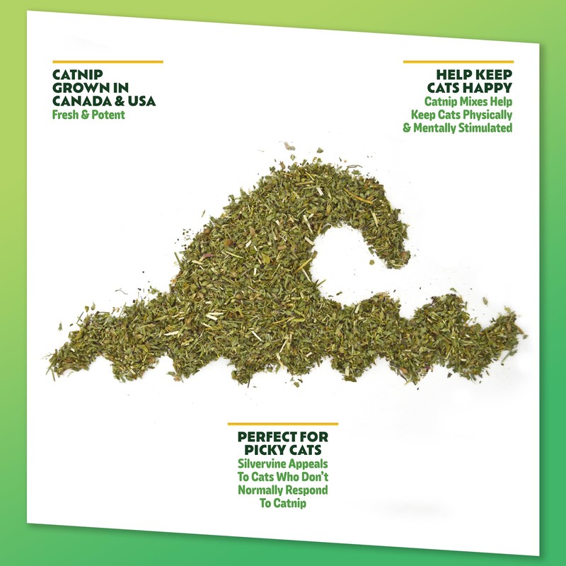 KITTY KA-ZOOM Silverine Surge - Catnip & Silvervine Mix |