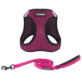 Voyager Step-in Air All Weather Mesh Harness and Reflective Dog 5 ft Leash Combo with Neoprene Handle, for Small, Medium and Large Breed Puppies by Best Pet Supplies - Fuchsia (2-Tone), XS