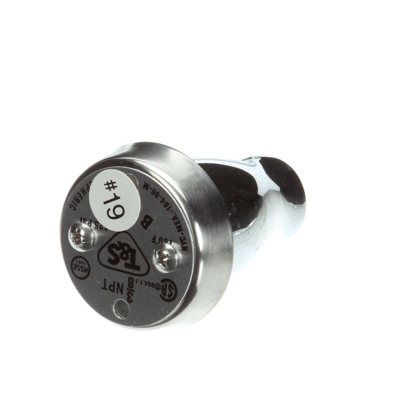 T&S Brass B-0968 Atmospheric Vacuum Breaker Assembly, Chrome