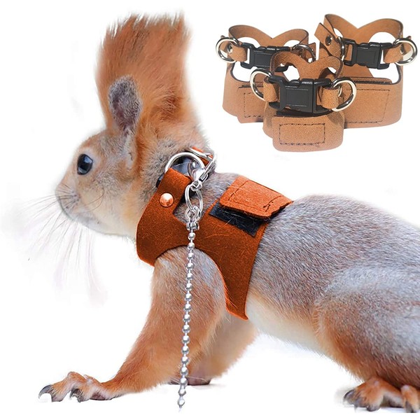 3 Pack Squirrel Harness and Leash Set - Adjustable Traction