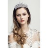 CURASA Silver Crystal Crowns Gorgeous Tiaras for Women Princess Crown