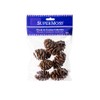 SuperMoss Sequoia Pine Cones, Natural