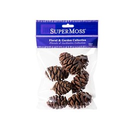 SuperMoss Sequoia Pine Cones, Natural