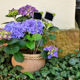 Pack of 8 Wooden Plant Signs Plant Stakes Flower Bed Stakes Plant Signs Herb Signs with Black Board and Chalk