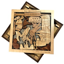 The OB/GYN Obstetrics and Gynecology Puzzle