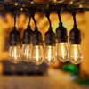LEONLITE LED Outdoor String Lights 48FT Valentine's Day Decoration, Clear