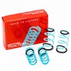 Godspeed LS-TS-MC-0001 Traction-S Performance Lowering Springs, Improve Overall Handling And