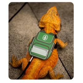 Bearded Dragon Harness Leash Soft Leather Harness with Backpack Patch Adjustable Strap Outside Walk Training Leash for Reptile Lizard Amphibians (Green)