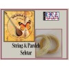 Vahdati 2 in 1, STRING and PARDEH SEHTAR, SETAR, SITAR,