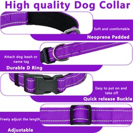 Seyezo Reflective Dog Collar, Soft Neoprene Padded Pet Collar for Small, Medium, Large Dogs, Adjustable Puppy Collars with Quick Release Buckle, Safe Breathable Nylon Dog Collars for Puppies(Purple,M)