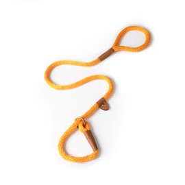 Dog & Field Lux Woven Slip Lead - Apricot. 1.2m Slip Lead For Dogs, Soft Braided Rope Dog Lead With Brass Fittings & Leather Bindings. Training Lead For Dogs, No Collar Or Harness Needed, One Size