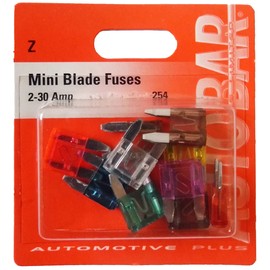Autobar 254 Assorted Pack of 10 Mini Blade Fuses 2 to 30 Amps Electrical Part Replacement
