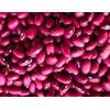 Unearthed Small Red Beans, Premium Quality Plant-Based Protein, Gluten-Free, Non-GMO,