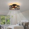 HUEOCZW 20" Caged Ceiling Fan with Light and Remote，Bladeless Ceiling