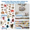 Vordpe 64 Compartments Acrylic Magnetic Seashell Display Box, Clear Shell