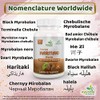 Ayushya Harde (Haritaki) Capsule, 60 Capsules, Natural